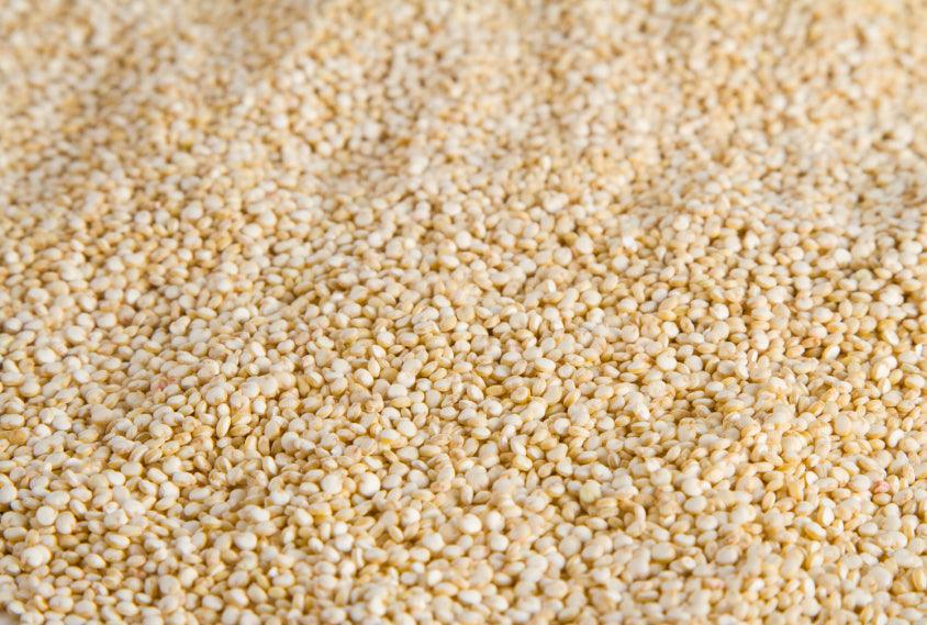 100% Organic White Quinoa close up of seed 